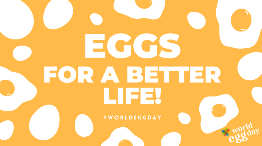 Eggs for a better life