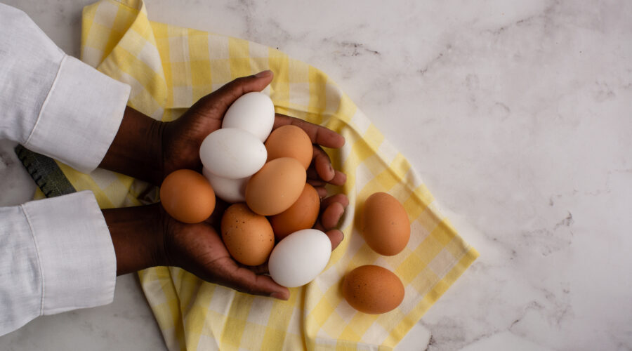 World Egg Day 2022
